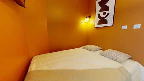 Chambre privée à 51 Rue du Professeur Paul Sisley, image 21 de 22