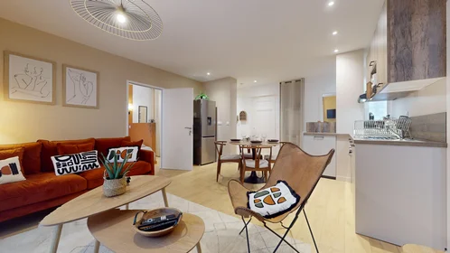 Chambre privée à 51 Rue du Professeur Paul Sisley, image 6 de 22
