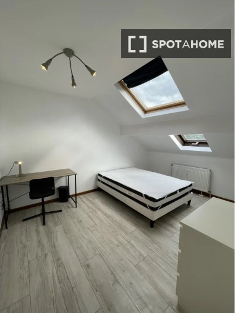 Bright private room in Liège