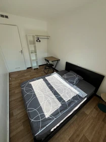 Chambre à louer dans un appartement en colocation à Nimes