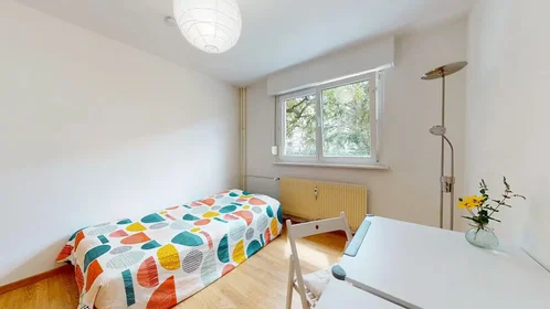 Quarto privado em Rue du Galtz, Saint-Léon, imagem 1 de 10