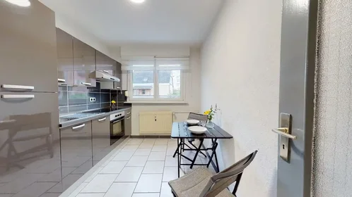 Stanza privata in Rue du Galtz, Saint-Léon, immagine 4 di 10