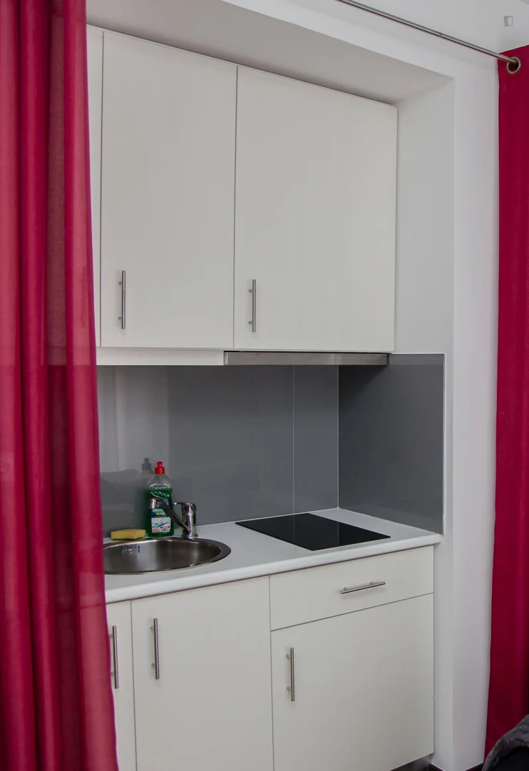 Self-contained studio for students in central 