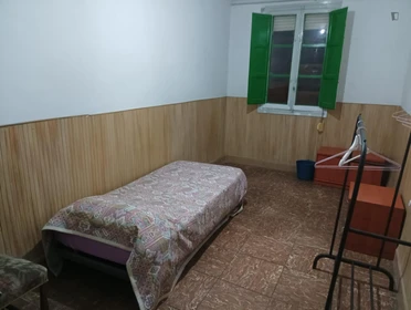 Cheap private room in torrent