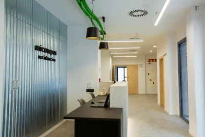 Habitación privada en residencia en C. de Mariano Aser, imagen 44 de 49