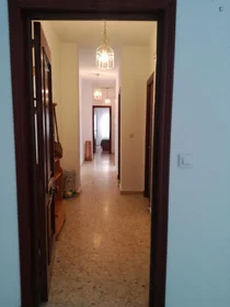 Privatzimmer in der Calle Doctor Marañón, bild 32 von 37
