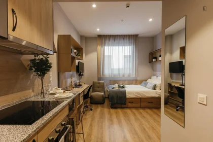 Private room in residence at Calle Portuetxe, image 11 of 16