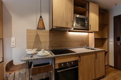 Private room in residence at Calle Portuetxe, image 15 of 16