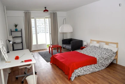 Alquiler de habitaciones por meses en Estrasburgo