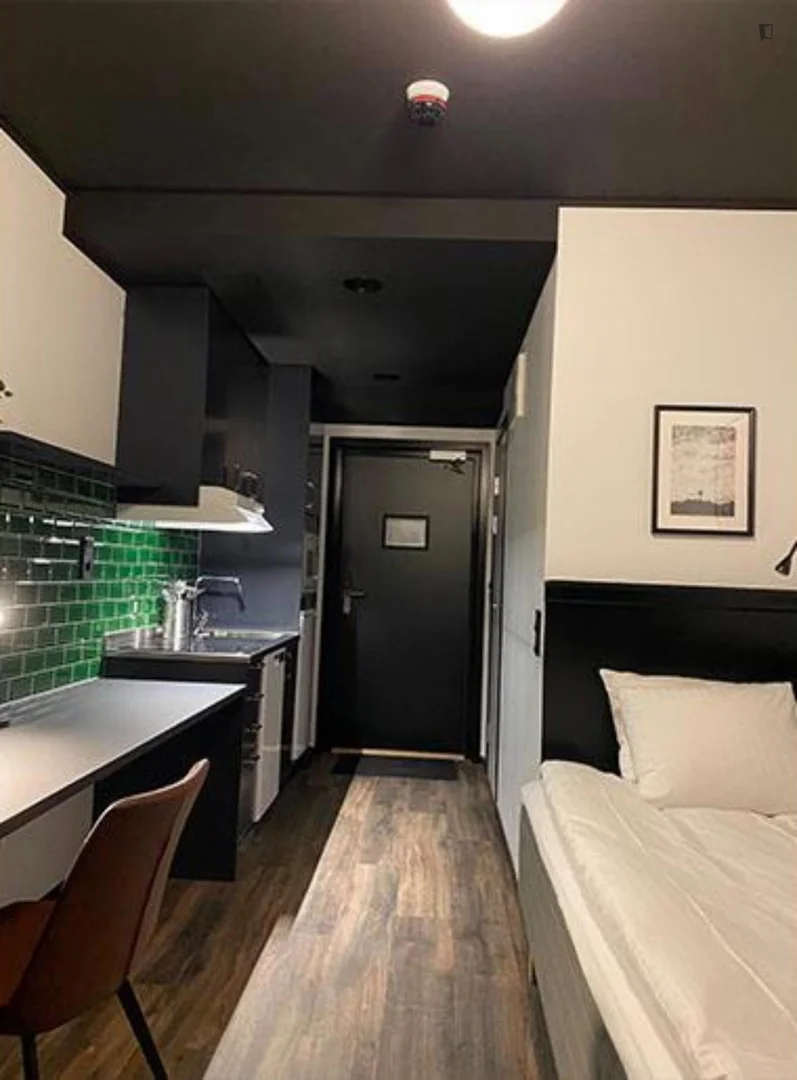 Convenient studio apartment for student living in 