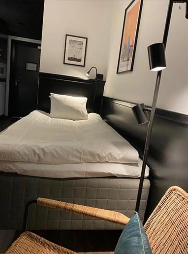 Compact studio apartment ideal for students in 