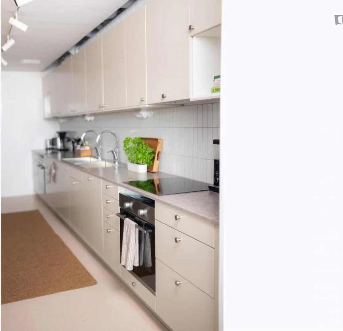 Affordable room for students with ample lighting in 