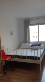 Cheap private room in Palma-de-mallorca