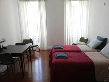 Room for rent in a shared flat in Ponta-delgada