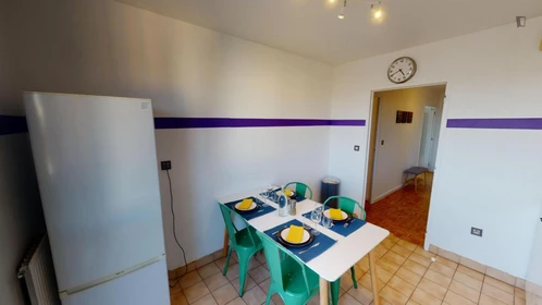 Privatzimmer in der Rue Marius Berliet, bild 8 von 14