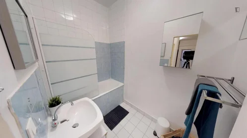 Chambre privée à rue Paul Bert, image 11 de 15