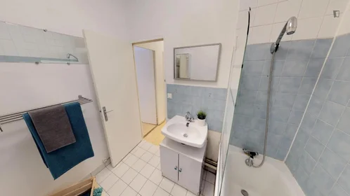 Chambre privée à rue Paul Bert, image 12 de 15