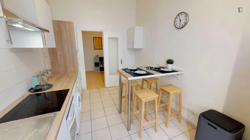 Chambre privée à rue Paul Bert, image 9 de 15
