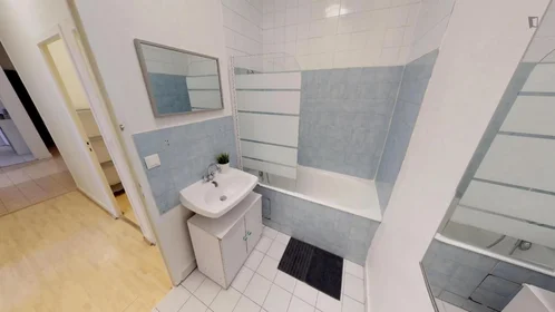 Chambre privée à rue Paul Bert, image 10 de 15