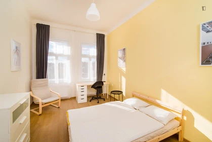 Praha de ortak bir dairede kiralık oda