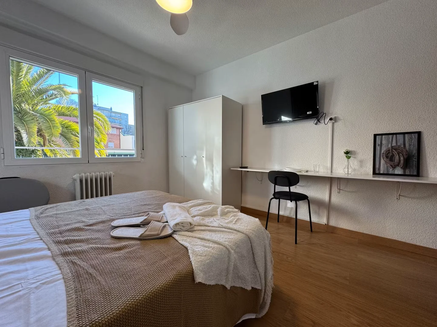 Affordable room for students with ample lighting in 