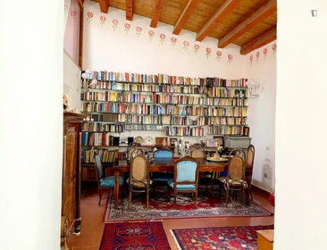 Bright private room in Palermo