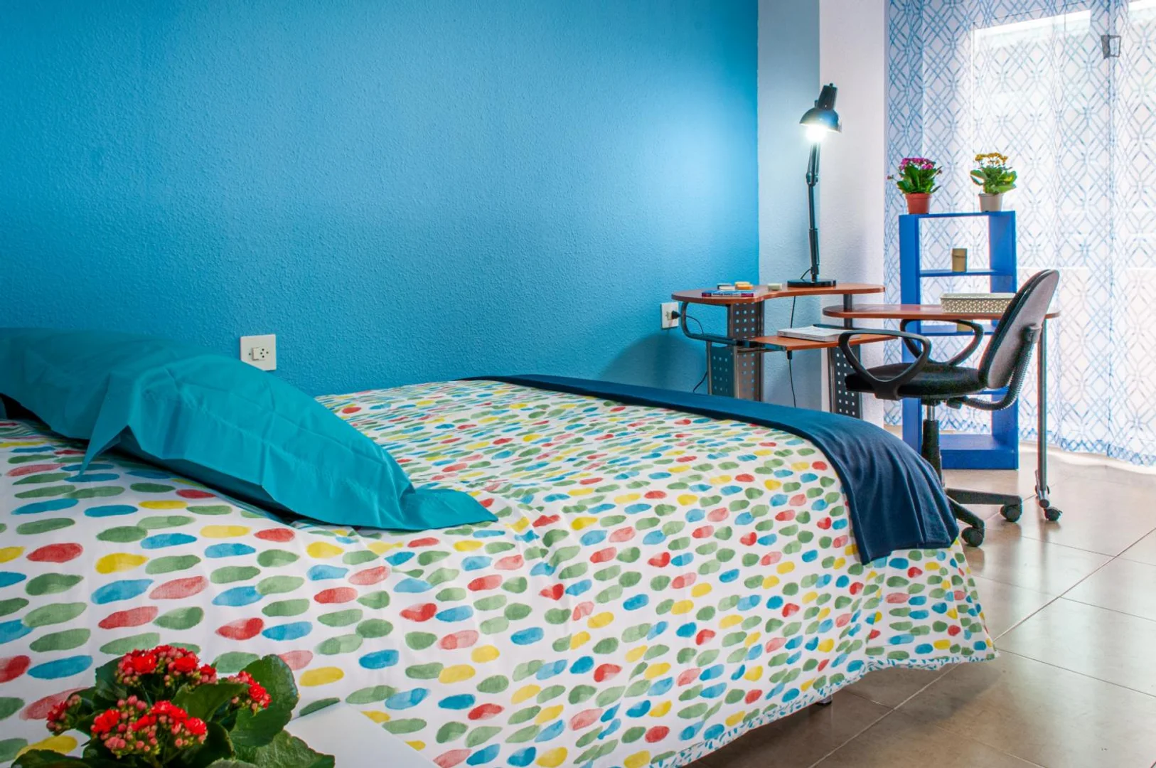 Budget-friendly student room close to campus in 