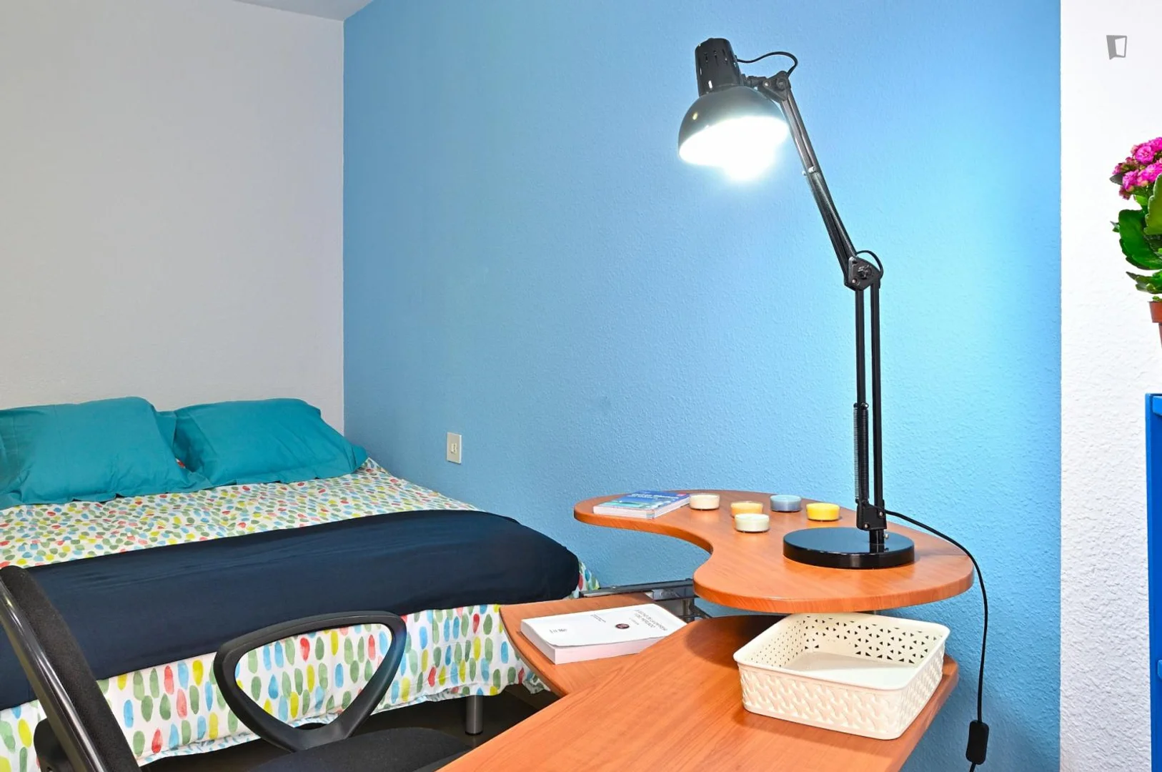 Comfortable and spacious student room in 