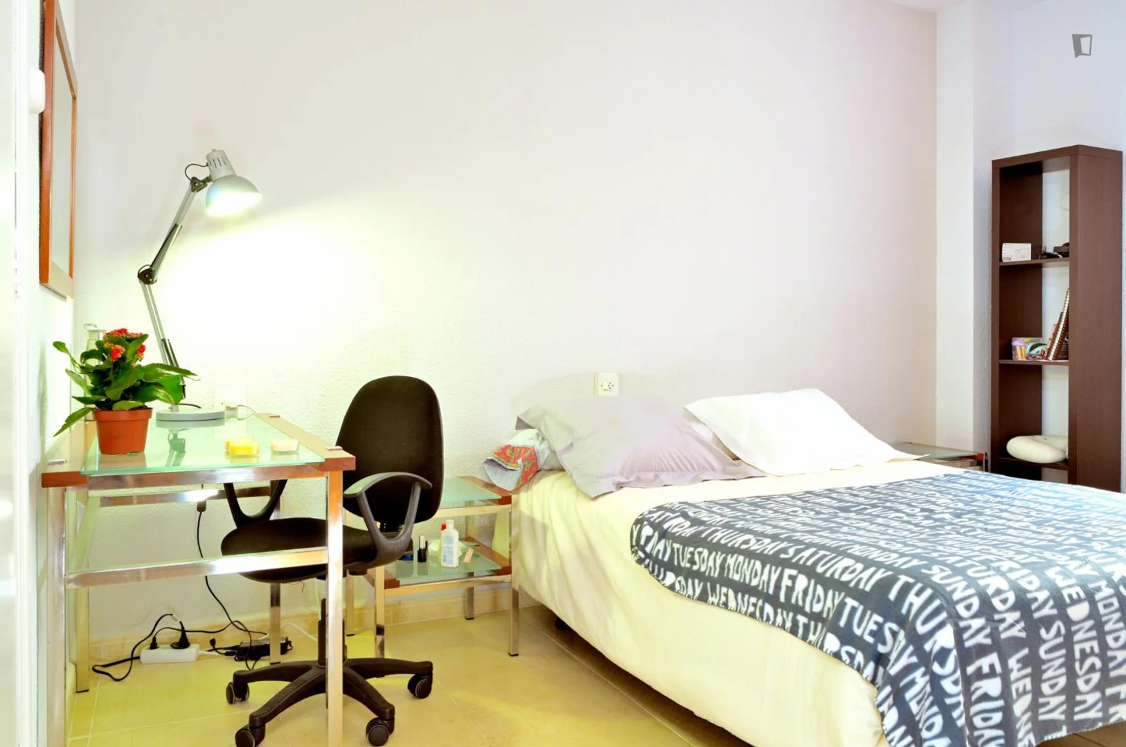 Affordable room for students with ample lighting in 