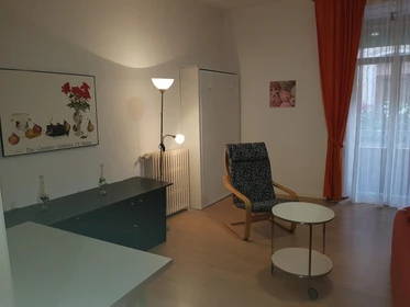 Great studio apartment in Segovia