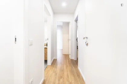 Całe miejsce Rua Nova do Couteiro, obraz 22 22