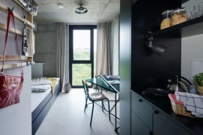 Privatzimmer im Wohnheim in der Marie-Curie-Straße, bild 2 von 49