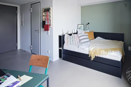 Privatzimmer im Wohnheim in der Marie-Curie-Straße, bild 15 von 49