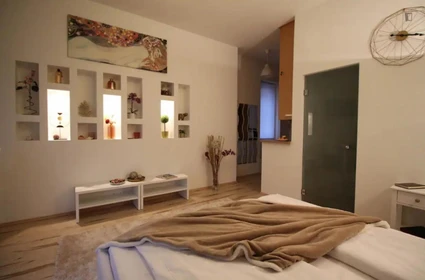 Stylowe mieszkanie typu studio w Budapeszt