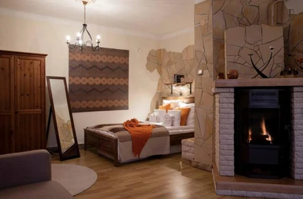 Wspaniałe mieszkanie typu studio w Budapeszt