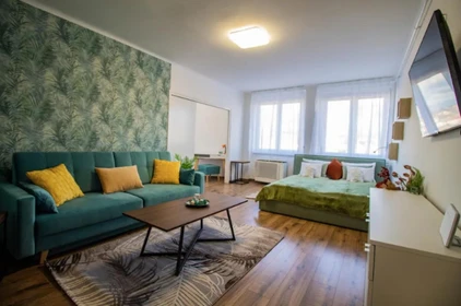 Nowoczesne i jasne mieszkanie w Budapeszt