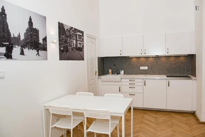 Entire fully furnished flat in Budapest