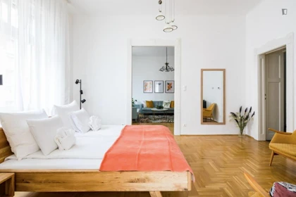 Appartamento completamente ristrutturato a Budapest