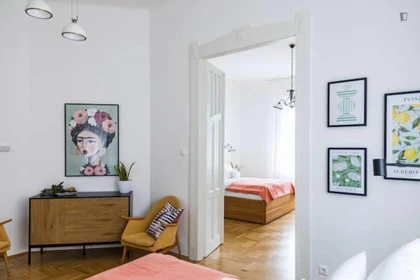 Appartamento completamente ristrutturato a Budapest
