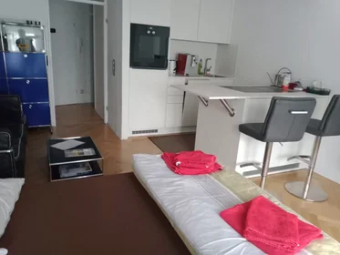 Appartamento intero in Zähringerstraße, Innenstadt-Ost, immagine 8 di 10