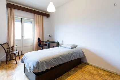 Room for rent in a shared flat in {area}