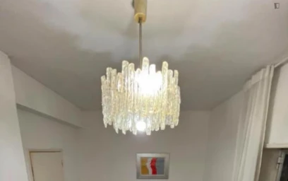 Chambre individuelle lumineuse à {area}