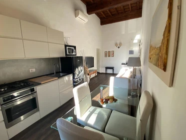 Entire fully furnished flat in Florence