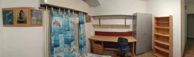 Özel oda konumu Calle Pasqual Calvo, 2 17 görüntüsü