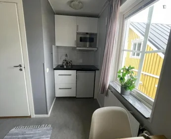Studio à Klangs gränd, image 9 de 17