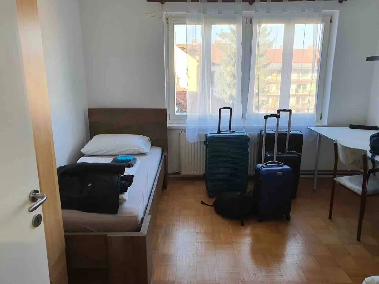 Shared room with another student in ljubljana