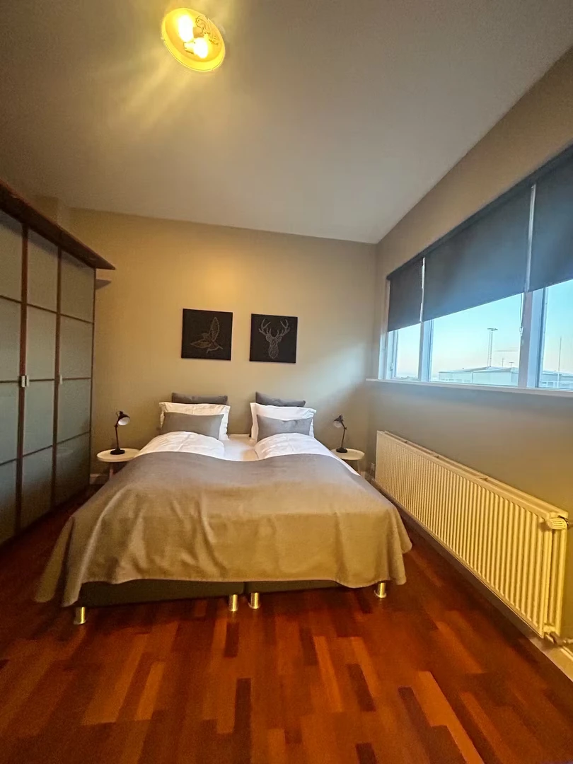 Entire fully furnished flat in Reykjavík
