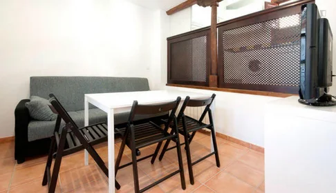 整套公寓 在 Calle Agua del Albazcin, 10的图像1