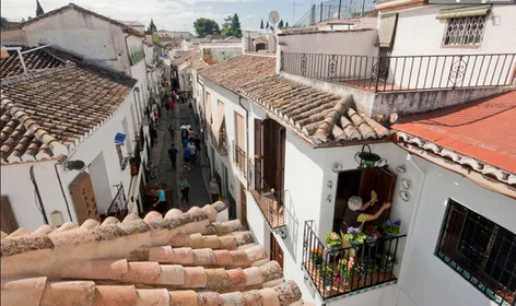 整套公寓 在 Calle Agua del Albazcin, 20的图像20