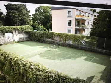 Stanza privata in residence in Starkfriedgasse, immagine 5 di 8